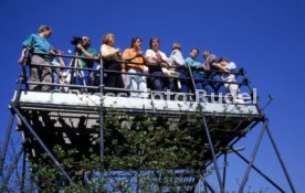 03.05.86 DFB-Pokal Finale FC Bayern M&uuml;nchen - VfB Stuttgart