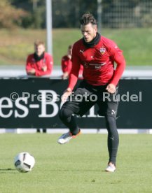 VfB Stuttgart Training