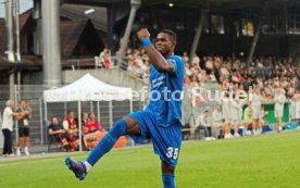 15.08.25 SG Sonnenhof Großaspach - Bayer 04 Leverkusen