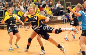 TV Nellingen