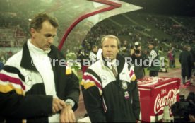 27.03.96 Deutschland - D&auml;nemark