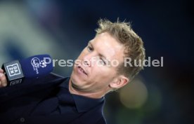 TSG 1899 Hoffenheim - Olympique Lyon