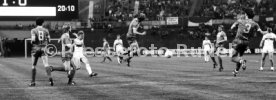 VfB Stuttgart - 1. FC K&ouml;ln