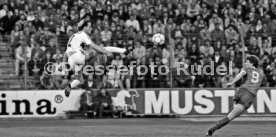 VfB Stuttgart - 1. FC K&ouml;ln