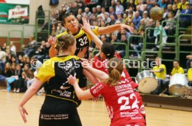 TV Nellingen