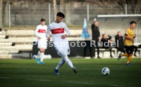 VfB Stuttgart - SG Dynamo Dresden