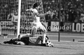 VfB Stuttgart - Cosmos New York