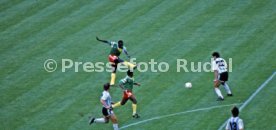 WM 1990 Argentinien - Kamerun