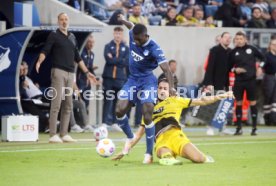 29.09.23 TSG 1899 Hoffenheim - Borussia Dortmund