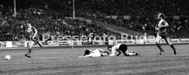 VfB Stuttgart - 1. FC K&ouml;ln