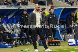 22.10.26 TSG 1899 Hoffenheim - Olympique Lyon