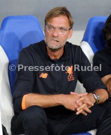 TSG 1899 Hoffenheim - FC Liverpool