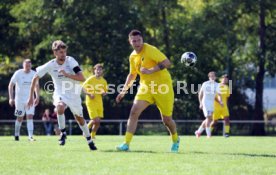 23.08.26 TSV Ph&ouml;nix Steinsfurt - SV Tiefenbach