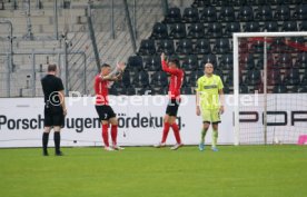 SG Sonnenhof Gro&szlig;aspach - FSV Zwickau
