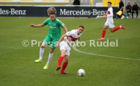 U19 VfB Stuttgart - U17 SpVgg Greuther Fürth