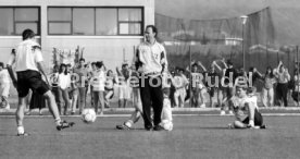 DFB Training