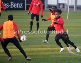 VfB Stuttgart Training