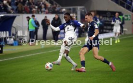 13.12.25 TSG 1899 Hoffenheim - Hamburger SV