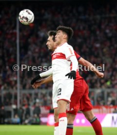 FC Bayern M&uuml;nchen - VfB Stuttgart