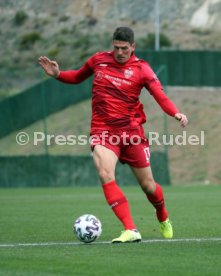 VfB Stuttgart - MOL Fehevar FC