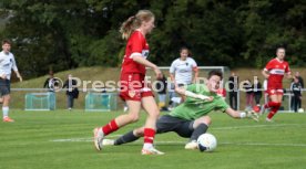 15.09.24 Frauen VfB Stuttgart - 1. FCC Hof