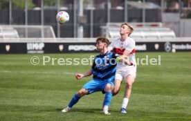 13.04.23 U19 VfB Stuttgart - U19 1. FC Heidenheim