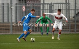 U17 VfB Stuttgart - U17 TSG 1899 Hoffenheim