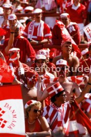 14.06.88 Deutschland - D&auml;nemark