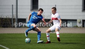 20.04.21 VfB Stuttgart II - TSG 1899 Hoffenheim II