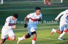 05.01.25 VfB Stuttgart - FC Luzern