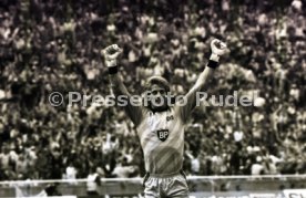 DFB-Pokal Finale 1987 Hamburger SV - Stuttgarter Kickers