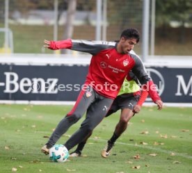 VfB Stuttgart Training