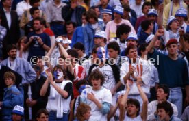 DFB-Pokal Finale 1987 Hamburger SV - Stuttgarter Kickers