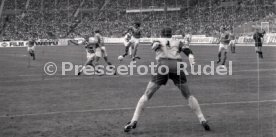 05.06.1993 VfB Stuttgart - SV Werder Bremen