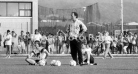 DFB Training