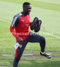 VfB Stuttgart Training