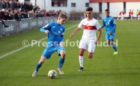 U17 VfB Stuttgart - U17 TSG 1899 Hoffenheim