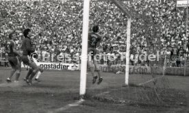 SV Darmstadt 98 - VfB Stuttgart