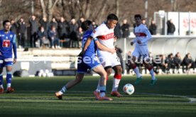 05.01.25 VfB Stuttgart - FC Luzern