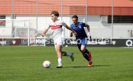 06.04.24 U17 VfB Stuttgart - U17 TSG 1899 Hoffenheim