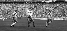 DFB-Pokal Finale 1987 Hamburger SV - Stuttgarter Kickers