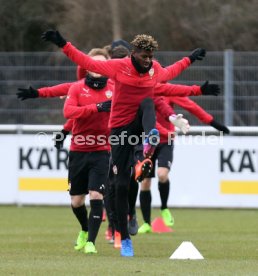 VfB Stuttgart Training