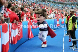 UEFA Frankreich Euro 2016 Island - &Ouml;sterreich