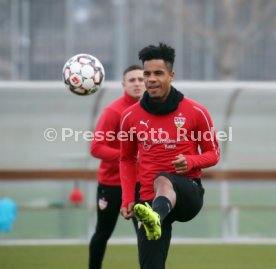VfB Stuttgart Training