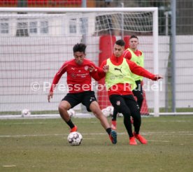 VfB Stuttgart Training