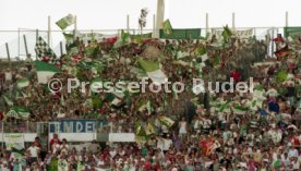 05.06.1993 VfB Stuttgart - SV Werder Bremen