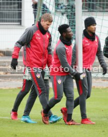 VfB Stuttgart Training