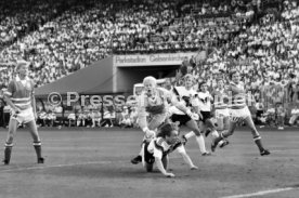 14.06.88 Deutschland - D&auml;nemark