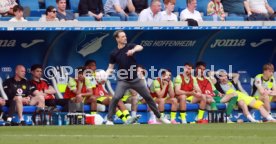 18.04.26 TSG 1899 Hoffenheim - Borussia Dortmund