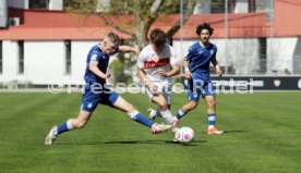 06.04.24 U17 VfB Stuttgart - U17 TSG 1899 Hoffenheim